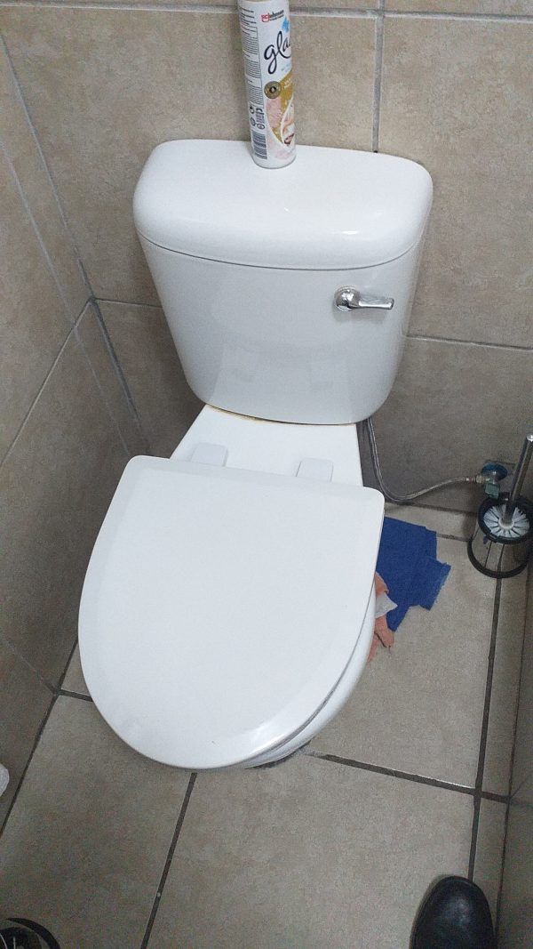 Pedestal Toilet Installation. White toilet front flush
