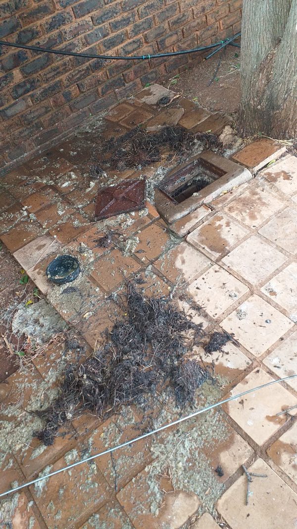 Plumber Blocked Drain that was unblocked by Juspropa team. Drain cleaning