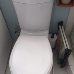 Leaking Toilet Repair. Pedestal toilet fully installed by Juspropa Team.
