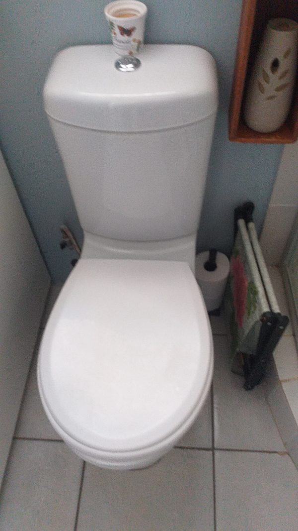 Leaking Toilet Repair. Pedestal toilet fully installed by Juspropa Team.