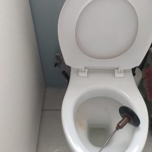 Blocked Toilet Drain. Water taking time to drain inside. the toilet is blocked and water is raising causing a very slow drainange system.