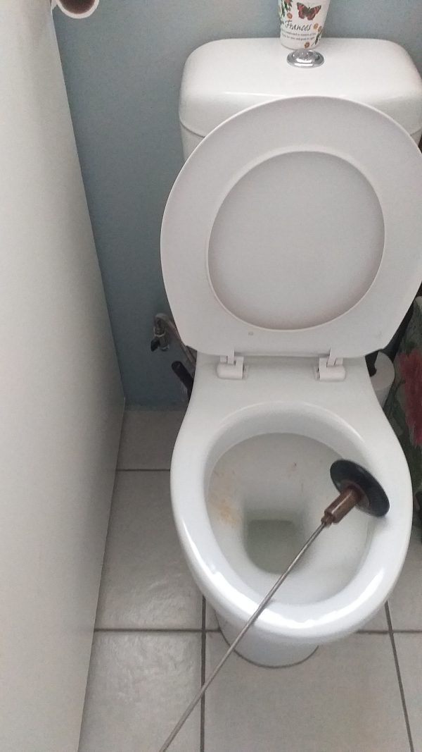 Blocked Toilet Drain. Water taking time to drain inside. the toilet is blocked and water is raising causing a very slow drainange system.