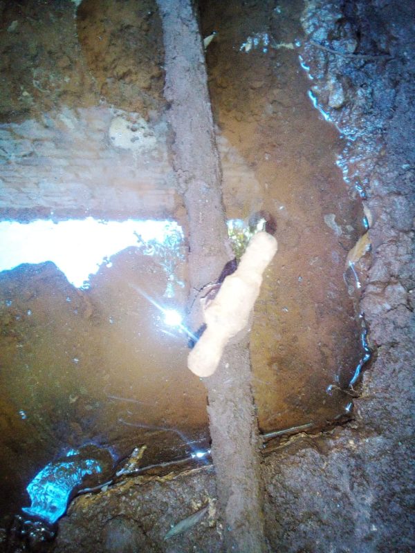 Water leaking from the main water supply. Rusted galvanised burst pipe. Rusted ball or gate valve.