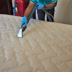Mattress Cleaning