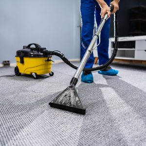 Carpet Cleaning Services