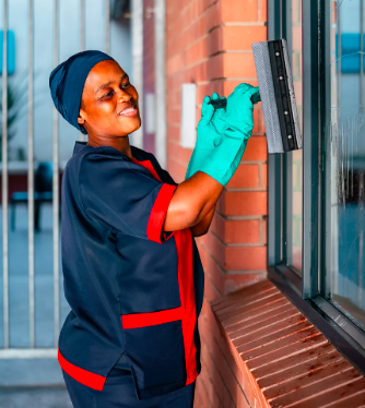 Window Cleaning