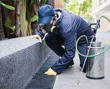 Squidix Cleaning and Pest Control Service