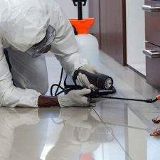 Squidix Cleaning and Pest Control Service